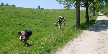 EGZ-Exkursion, Weissenstein (SO), 24.-25.06.2006