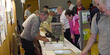 Insektenbörse, 19.09.2009