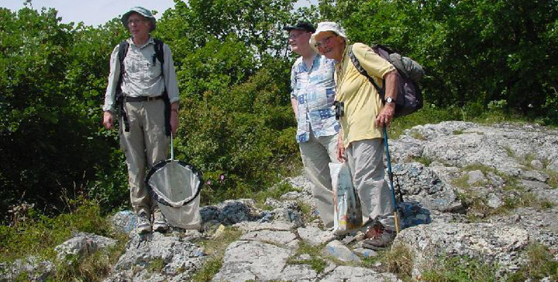 Dipteren-Exkursion vom 03.07.2010