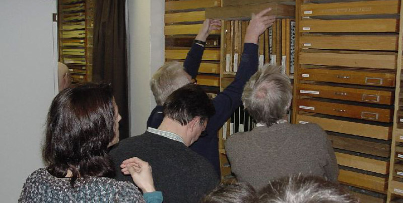 Dipteren-Tagung vom 05.02.2011