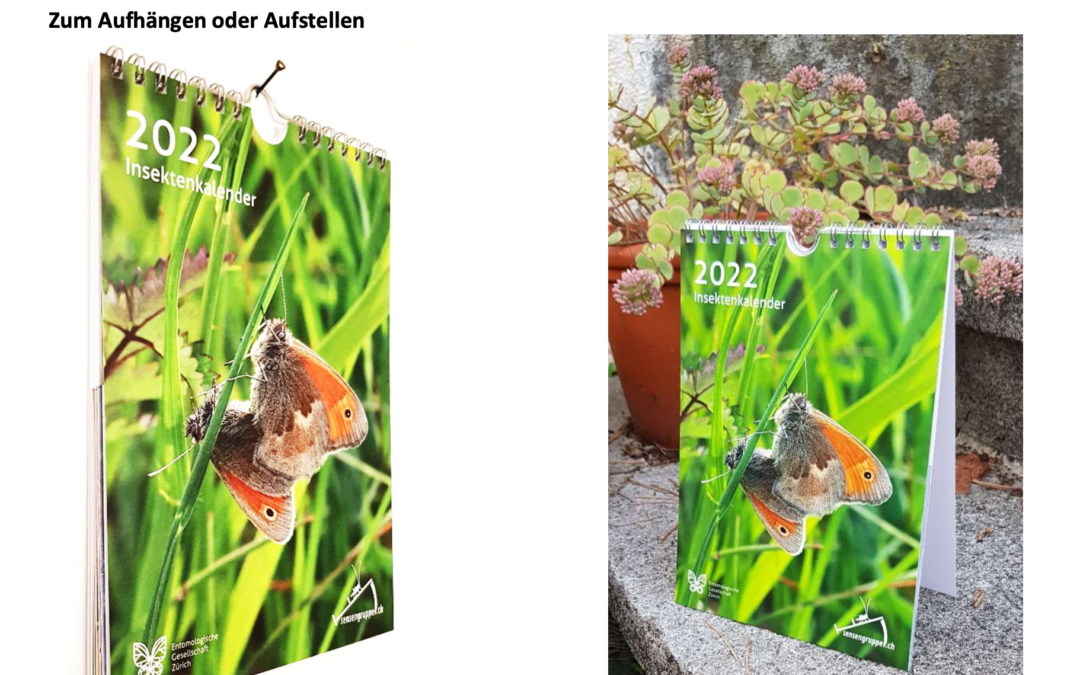 Der Insektenkalender 2022 der Sensengruppe Zürich ist da