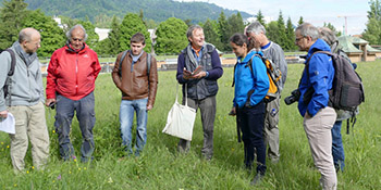 Exkursion auf die Orchideen-Dächer des Seewasserwerkes Moos